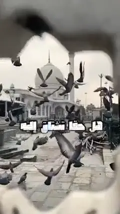 هل صَلَّيت اليوم عليه ﷺ 🎙️ رائعة عبد الله كامل رحمه الله ❤️ #الشيخ_عبدالله_كامل  @TikTok @TikTok Trends #عبدالله_كامل💕💞💓 #عبد_الله_كامل #وذكر_فإن_الذكرى_تنفع_المؤمنين🍂🥀 #الموعظةالحسنة #fyp #اكسبلور_تيك_توك_المشاهير #fypシ゚vira #new_totiktok #فيديوهات_دينية #فيديوهات_دينية_اسلامية #إبتهالات_دينية 