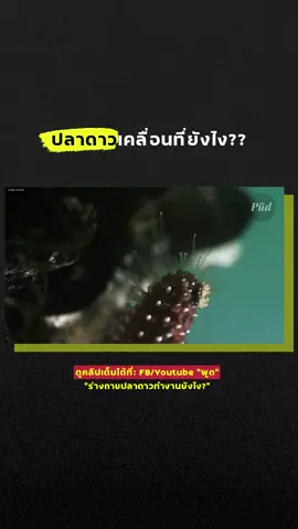 ปลาดาวเคลื่อนที่ยังไง?