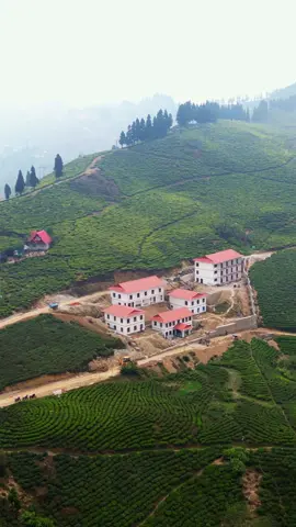 Beautiful illam #beautifulnepal #illam #chiyakobotaima #teagarden #kanyam #viralroad #shreeantuillamnepal🇳🇵 #shreeantu #viralvideo #trendingvideo 