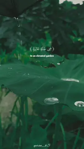 ما تيسر من سورة الغاشيه #عبدالرحمن_مسعد 