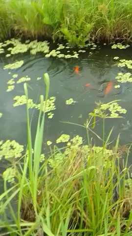 sou  um  homem abencoado por Deus