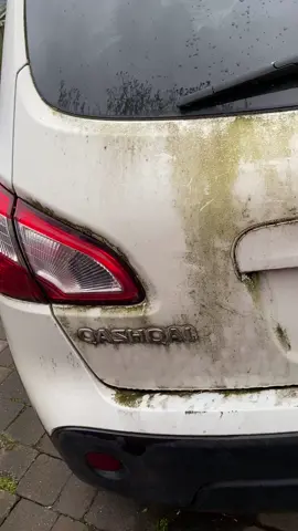 #nissan #quashqai #fullvalet #valeting #detailing #fyp #viral #trending #car #white #moss #green #clean 