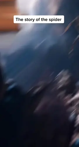 The story of the spider who protected Muhammad peace be upon him and his followers with Allah permission #muhammad #pbuh #islam #Allah #quran #story #spider 