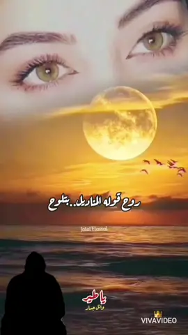 @Jalal Elassal #fypシ #يا_طير_يا_مسافر_لقمرنا#وائل_جسار#الشعب_الصيني_ماله_حل😂 #tiktokarab #tiktoklongs🥺 #اكسبلورexplore #مشاهدات #الشعب_الصيني_ماله_حل😂 #حالات_واتس #foryourpage #الشعب_الصيني_ماله_حل😂 #اغاني_الزمن_الجميل🎶🎻❤️ #fypシ゚viral #الشعب_الصيني_ماله_حل😂 #اكسبلورexplore #tiktoklongs🥺 #tiktokarab 