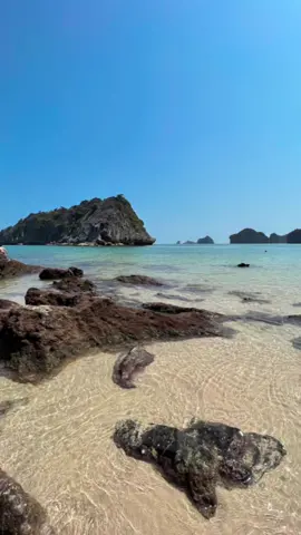 Bãi biển Cát Bà 🏝 #catba #vietnam #beach #dulich #travel 