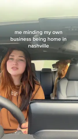 i was omw to get my dog a pup cup <3 also i’m so scareddddd i’ve been in nashville for eight years and i’ve wanted to play that venue for so longgg i wanna do a good job and i don’t wanna throw upppp #nashvilletstheerastour  #TSTheErasTour  #opener #tour #nashville #hastagsworkapparently 