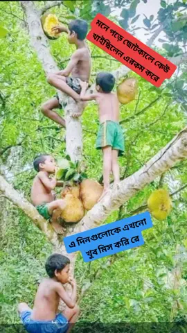 ছোটকালের স্মৃতিগুলো যখন পড়ে মনে