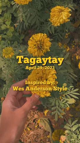 “Do you really wanna know where I was April 29?”  #aprildump #wesanderson #wesandersonstyle #fyp #tagaytaystaycation #labellebotique #labelleresidence #labelle 