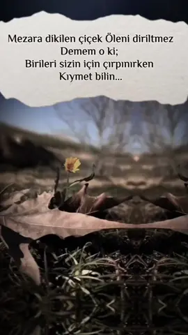#aglama #yaltaq #fypシ゚viral #gozel #kalp #gozel #insanlar #aglatanvideolar #sevgi #ebedisevgimiz🖤🗝️ #kalpyarası #acılar 