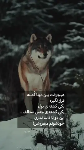 #افغانستان #تاجیک #هزاره #پشتو #ازبیک #ترکمن #خودم #مسافر #ترکیه_استانبول🇦🇫🇹🇷 #viralvideo #viral #foryoupage #foryou #عراق #CapCut #من #PepsiKickOffShow #اسلامي 