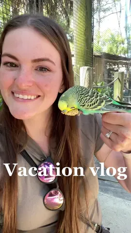 The baby sloth 🥹🥹 #vacationmode #vacationvlog #MomsofTikTok #toddlermom #panamacitybeach #morningroutine #vacation #vacationwithtoddlers #toddlersoftiktok #zooworld #pcb 