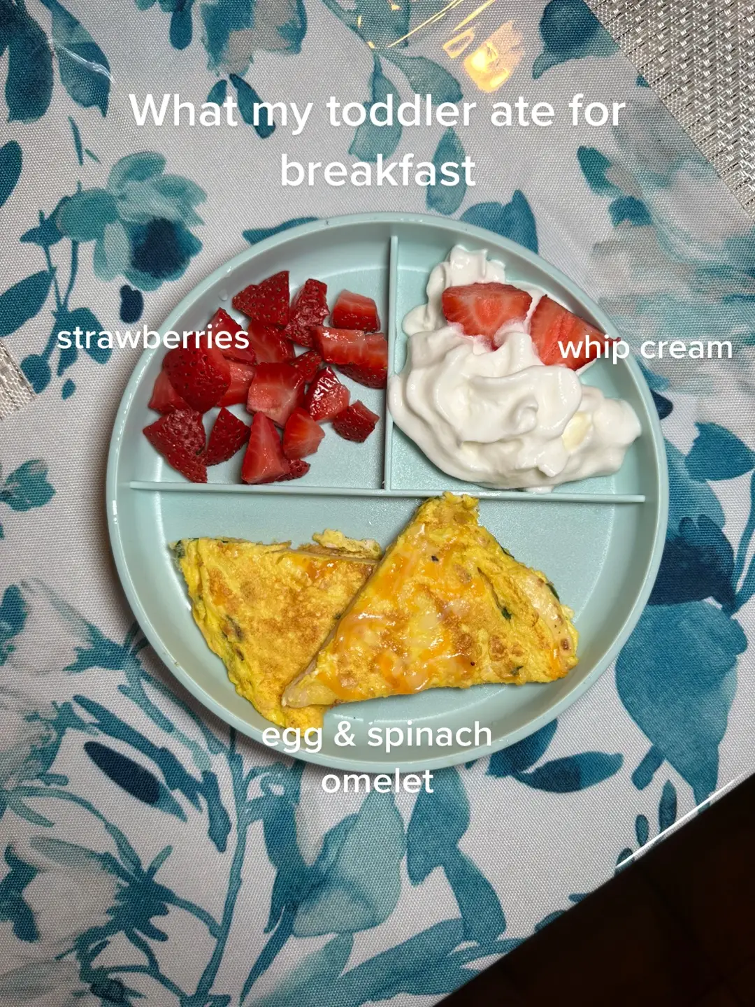 Toddler Breakfast Idea 🫶🏼  #foryoupage #foryourpage #parati #fyp #foryou #viral #fypシ #viralvideo #viraltiktok #toddlersoftiktok #toddlermom #toddlertok #MomsofTikTok #momtok #momlife #sahm #sahmlife #toddlerbreakfast #toddlerbreakfastideas #toddlerbreakfastidea #toddlerbreakfastmeal #breakfastformytoddler #breakfasttime #desayuno #desayunoparaniños #desayunoparabebe #desayunoparamibebe #breakfastforbaby #babymeal #babymeals #babymealsideas #babymealidea #babybreakfastideas #babybreakfastideas #babybreakfastidea #babybreakfasttime #kidsbreakfast #kidsbreakfastideas #Foodie #breakfastrecipes #breakfastforkids #eggomelette 