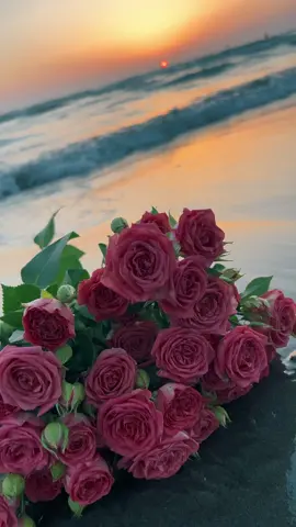 مساء الهدوء وعبق الورد والأمنيات الصغيره 🕊️