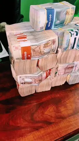 #parati #fyp #guatemala #todoterreno #trading #mindset 