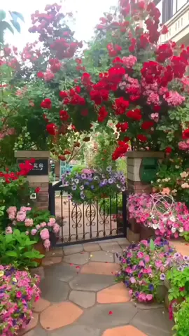 #garden #الطبيعة #حديقة #زهور #ورود #هاذا_خلق_الله #مناظر_طبيعيه #سبحان_الله #ماشاءالله #إكسبلور #كومنت #لايك #foryou #explore #vyral #comment #mashallah #vy#foryoupage #🌷 #🌹 #💐  @جيش بلاك فوكس👑Sanaa Rifiya  @Karima Rifiya👑 جيش بلاك فوكس 