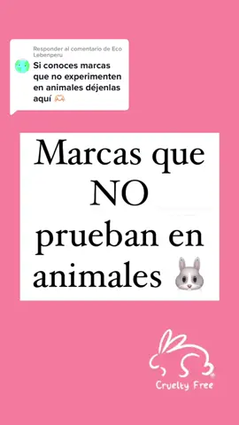 Respuesta a @Eco Lebenperu hacemos parte 2? 🙃🫶🏻 #crueltyfree 
