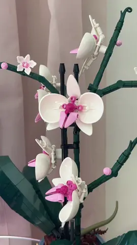Everlasting orchids 🩷  Who knew legos would be such an enjoyable activity in your 30s #legos #legoorchids 