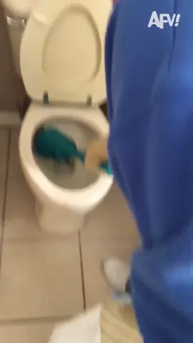 Toilet's not clogged, it's frogged 🐸 #afv #frog #fail #scare #funnyvideos #jumpscare #plumbing