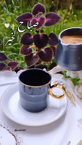 صباحووو 🖤🌿☁ #صباح_فيروز_وفنجان_من_القهوه #صباح_الخير #قهوة_الصباح #يوميات_مذهلة #keşfet 