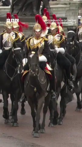 60 seconds of fabulously dressed horses for your feed 🐎 #CoronationOnTheBBC #Coronation #KingCharlesIII #RoyalFamily #iPlayer