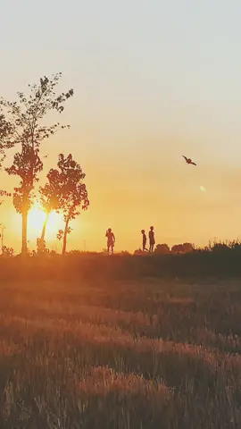 Missin’ those good old days! 🥹🪁 #sunset #beautifulsunset #childhood #childhoodmemories #goodolddays #fyp #foryou #foryoupage #fypシ #saranggola #burador #kanlungan #noelcabangon #saturdayvibes #SunsetTikTokVideos #sunsetstory #sunsetvideos #BeautifulSunset #SunsetCompilation
