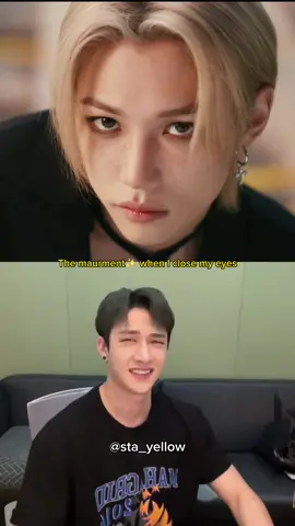 felix never dissapoint and lino's growl?! 🫠 . . #chanbang #redlights #straykids #skz #스틀레이키즈 #bangchan #leeknow #changbin #hyunjin #hanjisung #felix #seungmin #jeongin 