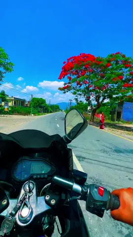 Tulsipur❤️ #kalerider #220f #foryoupage #tiktoknepal #foryou #dang #viralvideo #staysaferide #happybudhdhajayanti #peace 