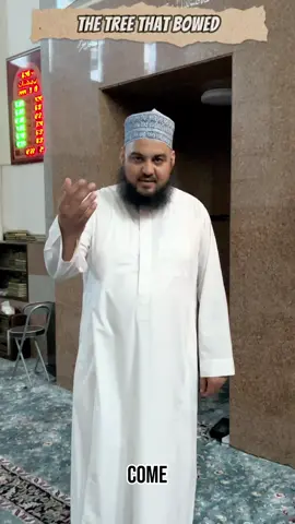The Masjid of the Miracle of the Tree! Love, Share and educate. #muslimtiktok #islamicreminders #muftimonawwar #shaykhmonawwarateeq #muslimmotivation #deentalks #muslim #islamicquotes #muslimspeech #muslimprayers #ahlussunahwaljamaah #ahlussunnah #islamquotes #muslimzone #islamicly #sufism #muslimquotes #nasheed #halalreminder #mufti 