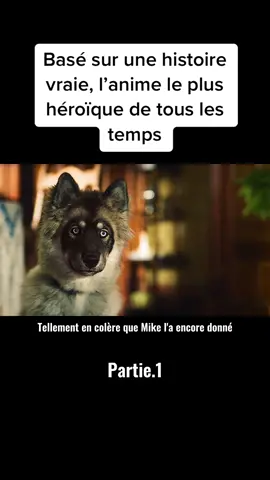 Basé sur une histoire vraie, l’anime le plus héroïque de tous les temps #filmclips #chien #pourtoi 