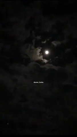 __Feel This Song__😌❤️🥀#fypシ  #fyppppppppppppppppppppppp #viral #viraltiktok #foryourpage #foryoupageofficiall #lyrics_songs #growmyaccount #unfrezzmyaccount #bdtiktokofficial🇧🇩 #tag_bdtiktokoficial 