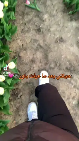يازينهم احبهم #باور #CapCut 