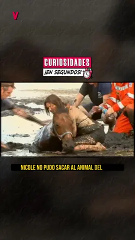 La conmovedora historia de la mujer que pasó más de tres horas abrazada a su caballo mientras éste se hundía en el barro ♥️🐴 #curiosidades #curiosidad #datoscuriosos #datocurioso #datosinteresantes #datos #dato #interesante #SabiasQue #sabíasque #viralitic #noticiasinteresantes #noticias #emotivo 