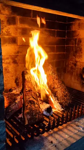 gemütliches lesen am Outdoor Kamin #fire #fireonfire #reading #BookTok #comfyfire #comfystyle #outdoorfireplace #fireplace #fireplaceatnight #comfynightwithfamily #loveit #fireplaceontiktok 