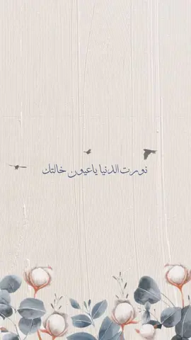 أهلاً بيبي خالد و مبروك للام و قرّة عيون خالتك❤️‍🩹. #بشارة_مولود #بشارة_مولودة #مولودة #مولود_جديد #مولود #مولود_السعادة #مولود_اختي #اكسبلورexplore #اكسبلور #مصمم_فيديوهات #مولود_جديد💙💙💙💙💙💙 
