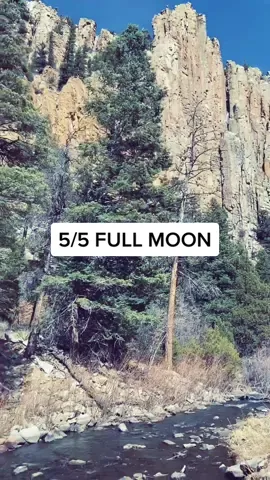 🌝 #spirituality #fullmoon #spiritualawakening #healing #consciousness #555 