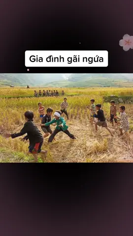 #giadinhgaingua #giadinh #gaingua #quangmino