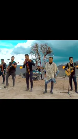 AVE DE CRISTAL - KJARKAS FT CHILA JATUN 🎼🎶🔥 #musicaandina #romantica #kjarkas #chilajatun #bolivia #peru #chile #ecuador #colombia #pasto 