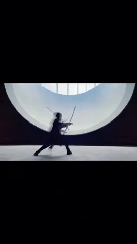 Shadowless Sword Technique! #fyp #foryou #ninja #swordsman #kungfuchallenge #sword #kungfu 