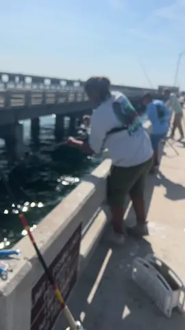 Peanut First Tarpon and First time using an conventional rod&reel.. #jrmisfits #skywaymisfits #tarpon #tarponfishing #gamakatsuhooks #powerprobraid #shimano #speedmaster20 #fish #fishing #fishingtime #fishinglife #skywayfishingpiers #takeakidfishing #teachemyoung #kidsfishing #livebait ####fishingtiktoks #seaguarfluorocarbon #fisherman #fishtok #catchmorefish #skywayfishing 
