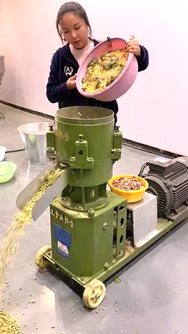 🐮🐑🐔🪵⛽️🦆🐰 Pellet machine Produkcja różnych maszyn do peletowania #farm #pelletmill #feedpellet #woodpellet #Granulator #peletpaszowy #fodder #foddermachine #foddermill #burningparticles #nawózorganiczny #pastwisko #woodmachine #karmić #تغذية #المحبب #pelletmachine #sawdust #trociny #Гранулятор #частицы #particelle #alimentazione #segatura #carburante #lecarburant #sciure #granulateur #nourrir #pastille #machineàgranulés #Pelletmaschine #Pelletsfüttern #Holzpellets #Holzpelletmaschine #VerbrennungsPelletMaschine 