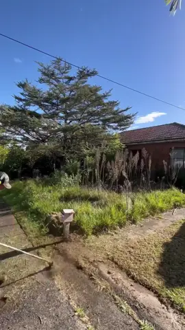 This Senior Citizen needed my help! #lawncare #tiktok #mrbeast #fyp #beforeandafter #satisfying #clean 