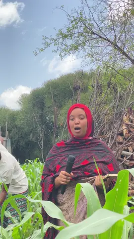 Guul guul insha Allah ✊#ciyaljigjiga #somalia #xulkaqaranka #teamiskugooso #somaila  #somaila #somalia  #somaila  #somaila  #somaila  #somaila  #somaila  #somaila  #somaila  #somaila