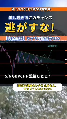 【シナリオ無料配信サロン】FX初心者も驚き！エリオット波動ツールで相場分析！ 【FX初心者向けエリオット波動ツール】このTikTok動画では、FX初心者にも分かりやすい形で、エリオット波動を用いたFX相場分析の方法をご紹介しています。チャートパターンやFXチャート分析に加えて、エリオット波動とフィボナッチを組み合わせたTradingView上での分析方法を学びましょう。 【エリオット波動で相場分析】エリオット波動を理解することで、FXチャート分析がより効果的になります。動画では、エリオット波動の基本的な考え方やチャートパターンの読み方を解説しています。 【フィボナッチとエリオット波動の組み合わせ】フィボナッチをエリオット波動に組み込むことで、相場の転換ポイントを見つけやすくなります。動画でフィボナッチとエリオット波動の組み合わせ方法を学びましょう。 【TradingViewを使った分析方法】TradingViewはFX初心者にも使いやすいチャートツールです。動画では、TradingView上でエリオット波動自動ツールを使った分析方法を具体的に解説しています。 【初心者にも分かりやすい解説】FX初心者でも短期間で成果が出せるよう、分かりやすい解説を心掛けています。エリオット波動やフィボナッチ、TradingViewを活用して、自分だけの相場分析法を磨きましょう。 #ニッチハッシュタグ #エリオットマスター #フィボナッチマジック #TradingView秘伝 