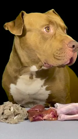 #ASMR #Mukbang #pitbull 