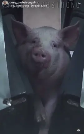 Watch dominion documentary on youtube #fyp #vegan #animals #interview #debate 