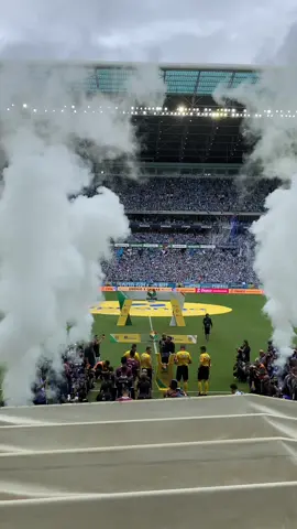 simplesmente Arena do @Grêmio FBPA💙 #arenadogremio #gremio #fyp 