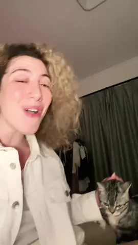 Halo ft lily the cat @lickylilythecat 🐈 #Halo #beyonce #songcover #coversong #tiktokmusic #cat 