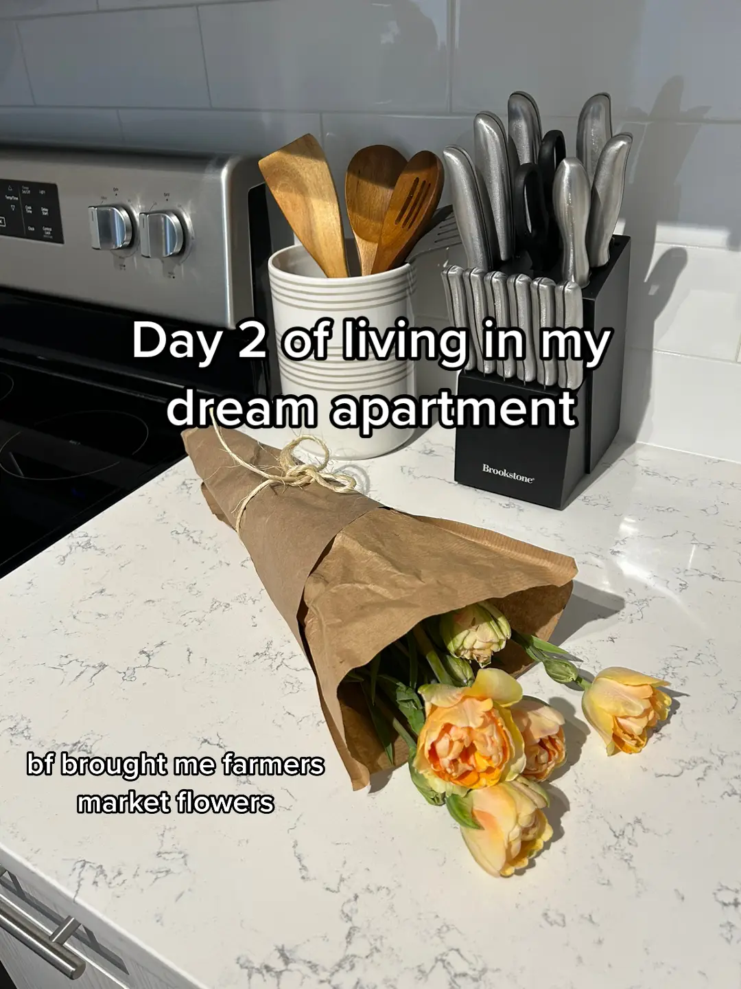 still living a dream #lincolnpark #lincolnparkchicago #oldtownchicago #chicago #chicagotiktok #chicagoapartments #chicagorooftop #chicagorealestate #lincolnparkrealestate 