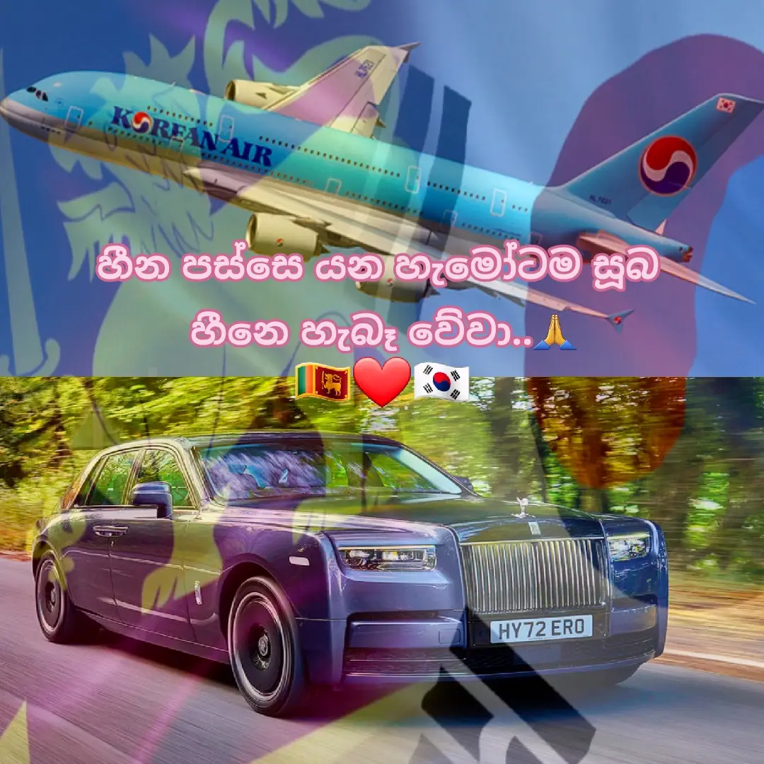 #southkorea🇰🇷 #koreanlover #southkorea #dreams #srilankan_tik_tok🇱🇰 #srilanka 