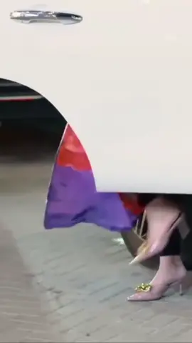 #sheikhamahra #sheikhamahralifestyle #sheikhamahraqueen👑ofdubai #sheikhamahraofficial #goviral #1M #views #target #view #like #share #follow #comments 